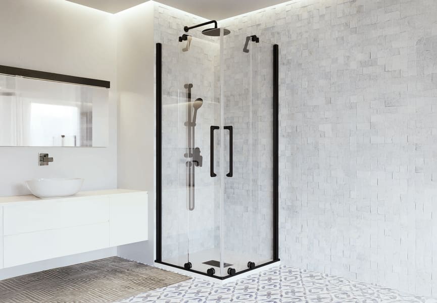 Mampara de ducha de Profiltek, Vanity (VY-220) Principal 1