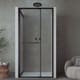 Mampara de ducha Bruntec Next (100 B) 2
