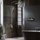 Conjunto de ducha Imex Roma Ambiente 8